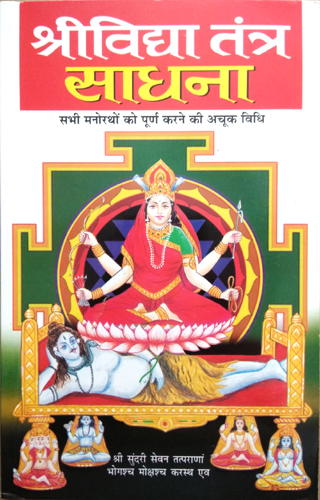 Shree Vidhya Tantra Sadhna-img3