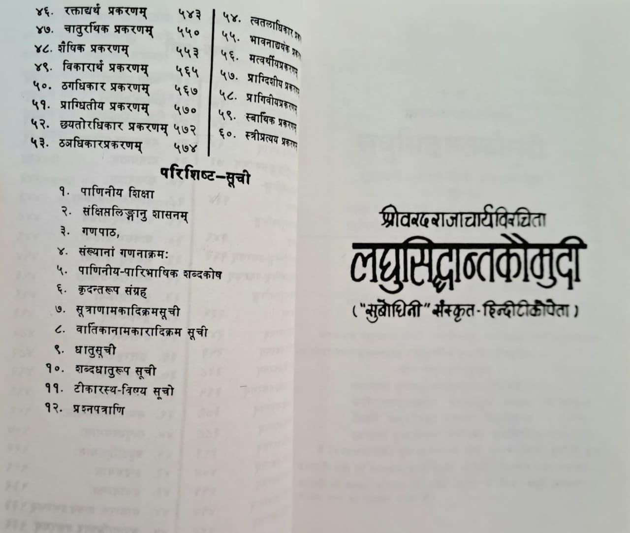 Laghu Siddhant Kaumudi with Sanskrit and Hindi Explanation-img3