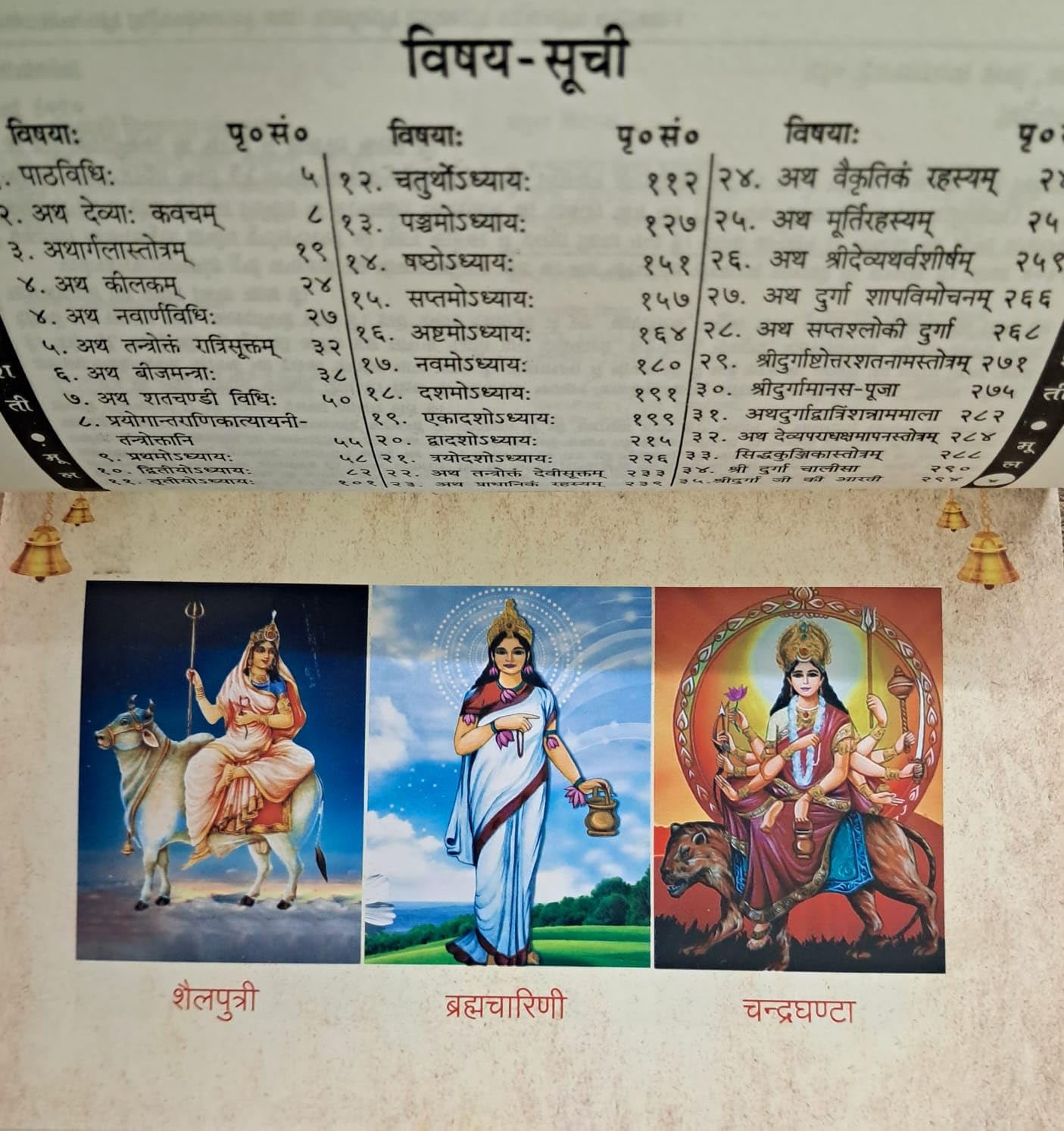 Shri Durga Saptshati (Moolmatram) | Sachitra (with colour image)-img1