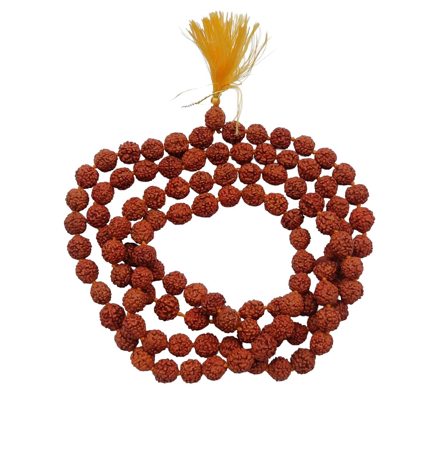 Rudraksh upasana-img1