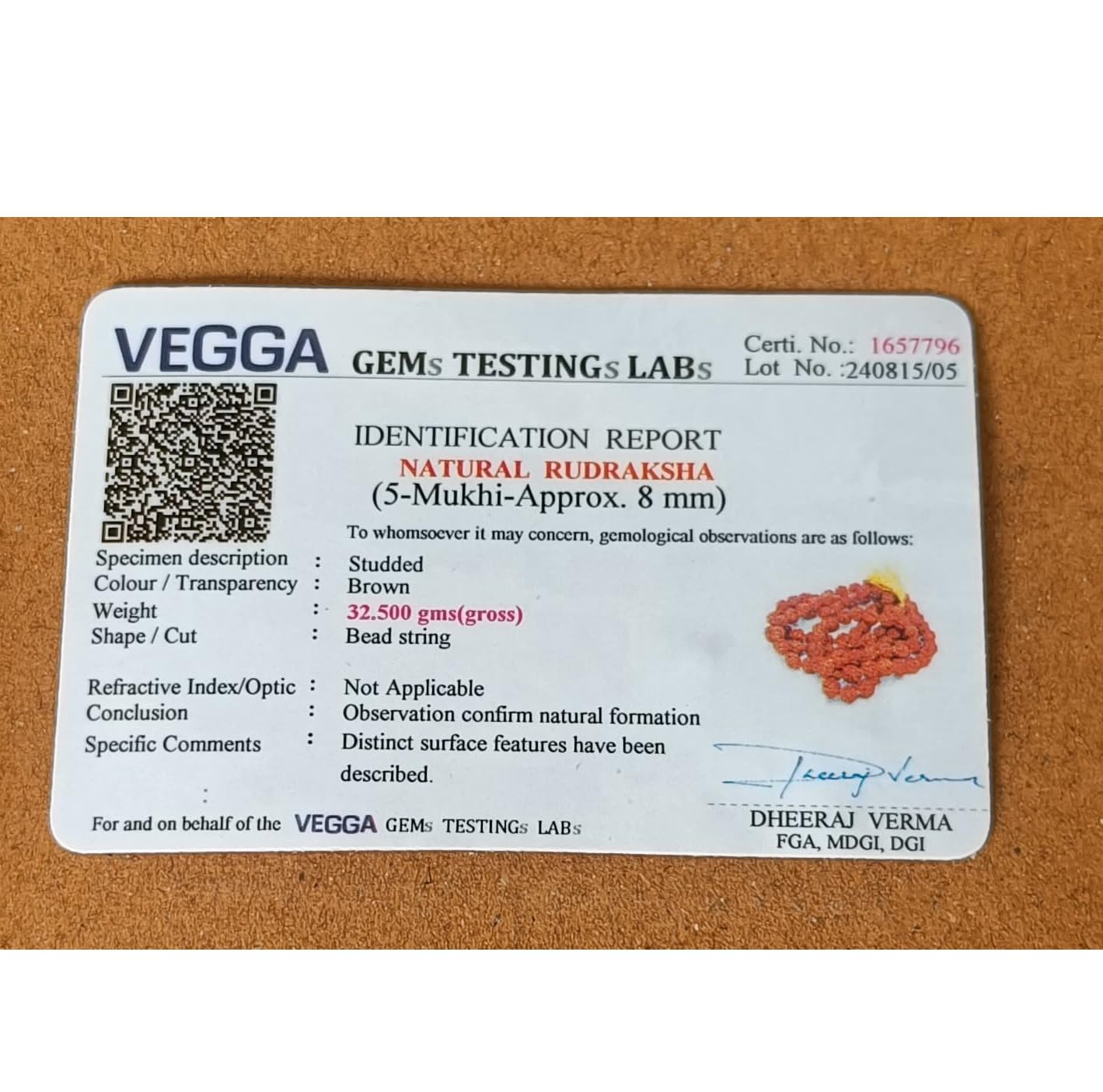 Rudraksh upasana-img2