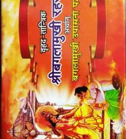 Shri Baglamukhi Rahasyam arthat Baglamukhi Upasna Paddhati and Shri Baglamukhi Panchang | Combo Pack of 2 [Product Bundle] Shri Pandit Mataroop Mishra “Dheeer”